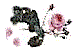 rose_on_left.gif (2052 bytes)
